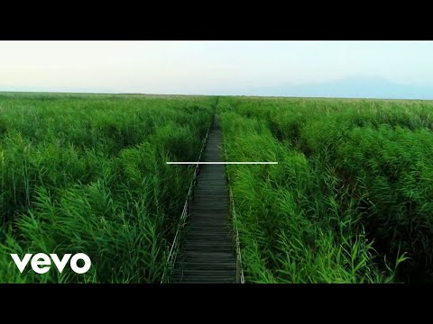 Video Placeholder
