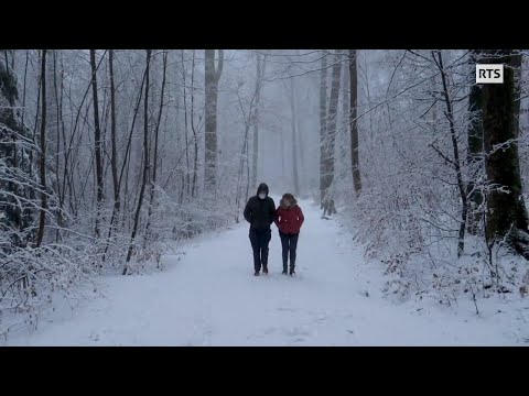 Héros du quotidien : les proches aidants