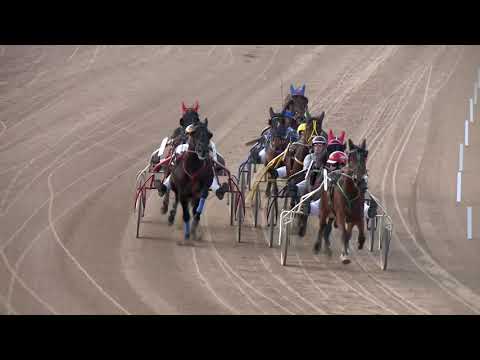 2019.03.02. 03. futam - 2019. ÉVI AMATŐR KUPA II. FUTAMA HENDIKEP