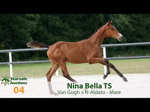 04. Nina Bella TS (Van Gogh x N-Aldato)
