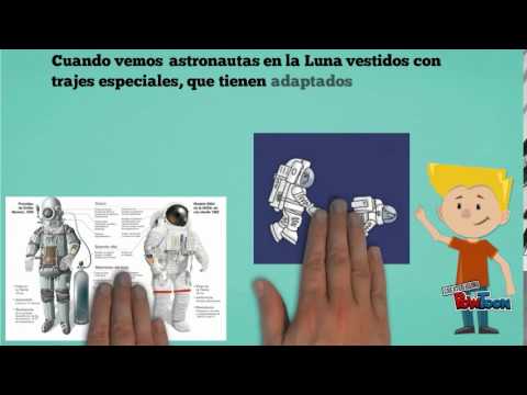 ¿ Podemos vivir en la luna?