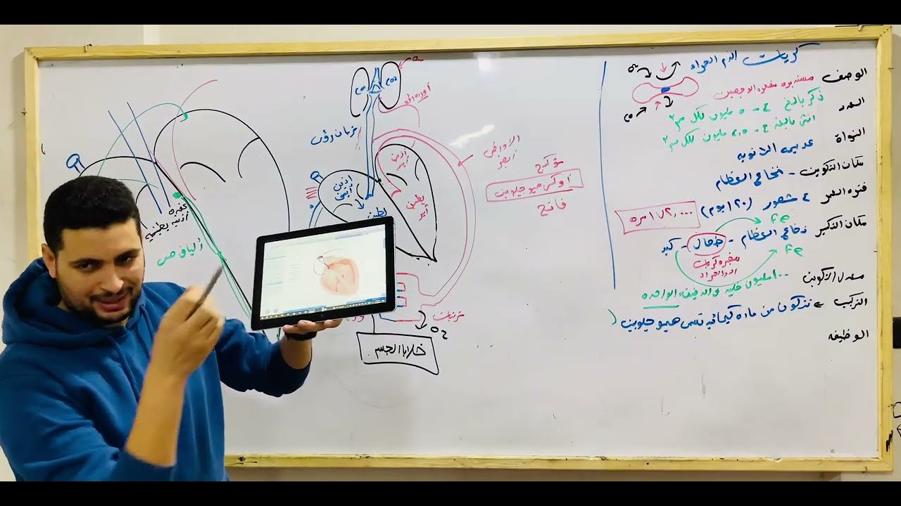 مكونات الدم|| كريات الدم البيضاء والصفائح الدمويه شرح كامل بالافكار والتريكا