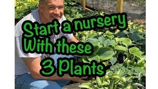 Start your nursery with these three plants! 🌱🌱 Backyard Growing// Starting a beginner nursery