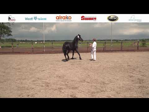 Locatie keuring Stal Sibma | 1 juni 2022