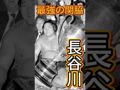 優勝しても大関になれなかった男:長谷川勝敏、最強関脇の悲劇と栄光