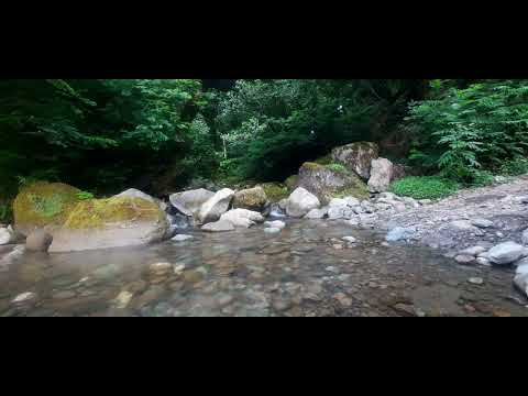 Meditation in the bosom of nature, in the sound of water.