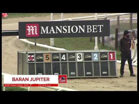 Baran Jupiter - BGBF British Bred Maiden Derby - Heat 5