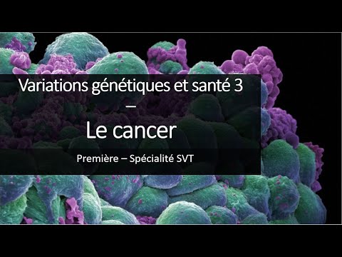 Specialized Biology Course for 1st Year Students - Cancer