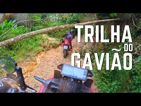 Trilha do Gavião (Hawk Trail)