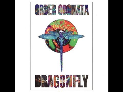 Dragonfly Records- Order Odonata Vol.2- Experiments That Identify Change (1996)