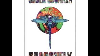 Dragonfly Records- Order Odonata Vol.2- Experiments That Identify Change (1996)