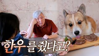 강아지한테 한우를 줬다고?