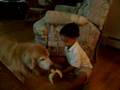 Boy Feeds Dog Banana