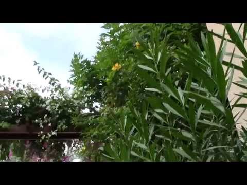 Эль Гуна. Oтель Sultan Bey  4* .