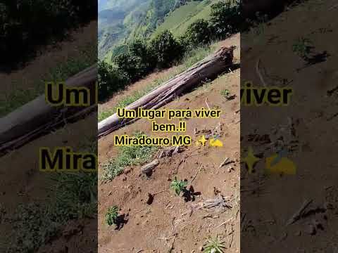 #miradoro#minasgerais #viver #viralvideo
