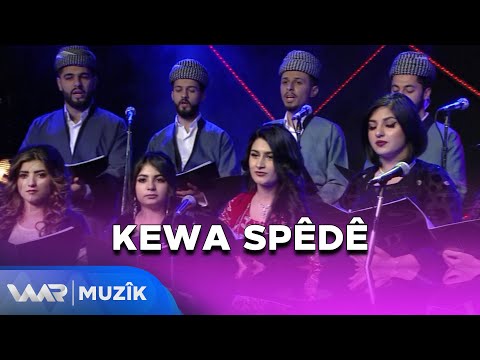 Koral - Kewa Spêdê