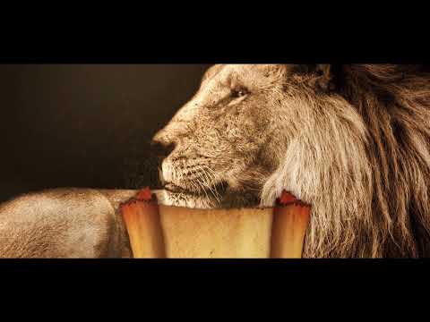 der-materialspezialist INVICTUS