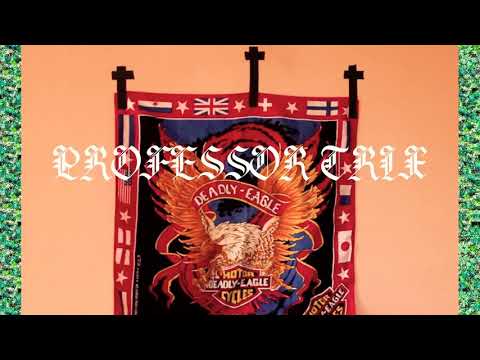 PROFESSOR-Trix FALDAI|| JHAAL🕸️🕸️ NEW  2020 SONG