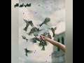O Matti Ke Parinday Parizaad New Song Status Parizaad Song Lyrics