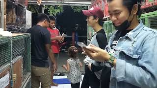 Download lagu  BEBERAPA KENANGAN PELANGGAN MERPATI KENTONG DI LAPAKKU RANJI DOEO IWANMGL #iwanmgl mp3