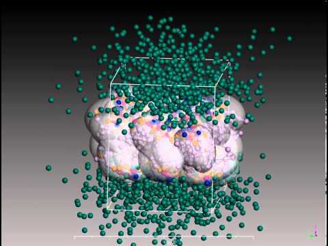 Coarse-grained molecular dymanics simulation of DPPC lipid membrane