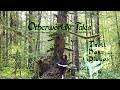 Otherworldly Tales Volume 1 2025 Remaster Full Album