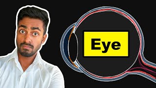 Vision: Structure of the eye - Explained!