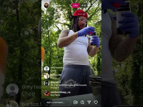 RX Hector ig live