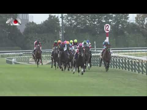 2020 Tenno Sho Autumn International Group 1 2000m