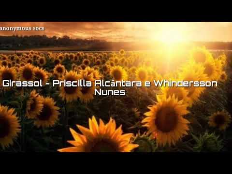 Girassol - Priscilla Alcântara e Whindersson Nunes {letra} 🌻