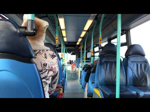 Reading Buses Scania CN230UB OmniCity 4 YN56FBK