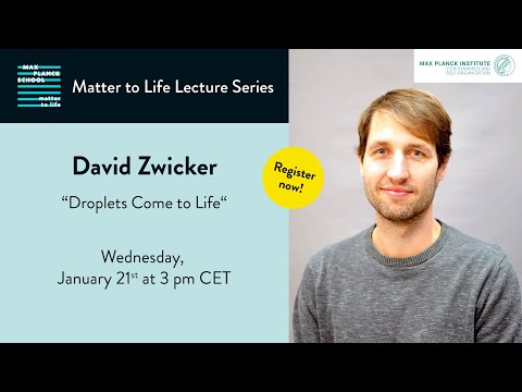 MtL Lecture Series: David Zwicker (21 January 2026)