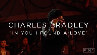 Charles Bradley: &#39;In You I Found A Love&#39; SXSW 2016 | NPR MUSIC FRONT ROW