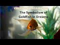 The Symbolism of Goldfish in Dreams