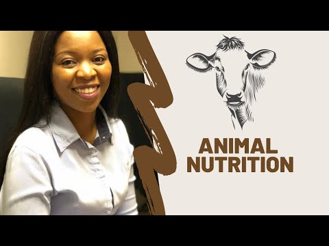 Grade 12 | Animal Nutrition and Digestion | Term 1