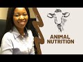 Grade 12 Animal Nutrition And Digestion Term 1