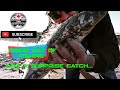 Video Thumbnail for Multi Species Fishing(North Of Saskatchewan River)