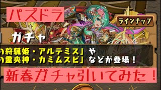 パズドラ 新春ガチャ引いてみた！