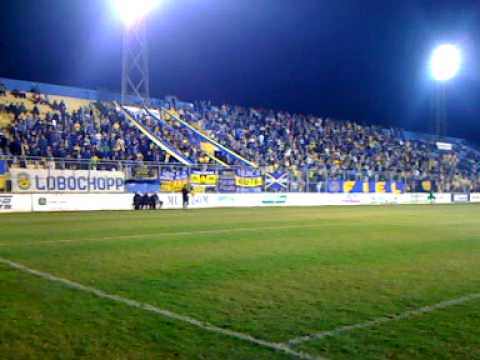 "E DALE DALE LOBO" Barra: Unidos por uma Paixão &bull; Club: Pelotas