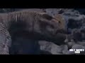Disney S Dinosaur 2000 Final Battle Resounded