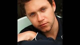 Niall Horan - Too Much To Ask (Remix) (Acapella - Vocals Only)