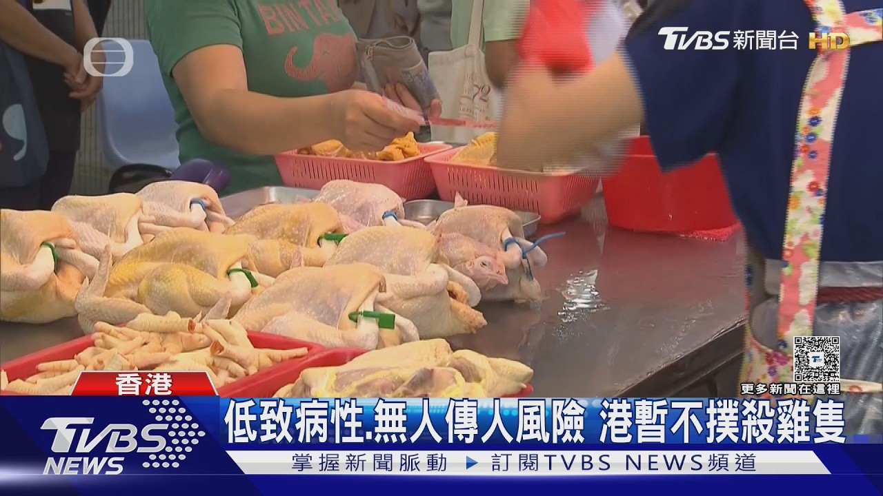 影音/發燒腹瀉隔離中! 2歲童染H9甲型禽流感 港府暫排除人傳人