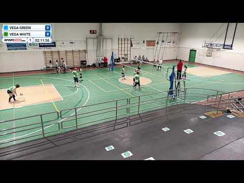 Vega green vs Vega white - 12/03/2021