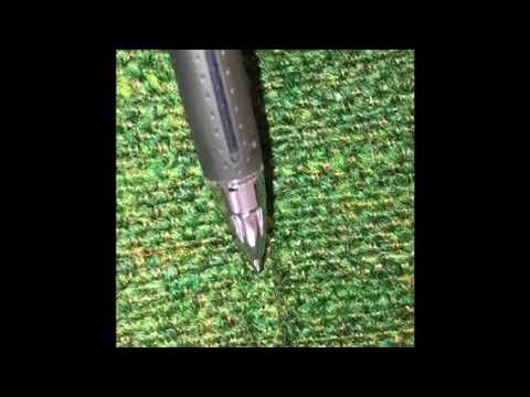 Bed bugs in Skillman, NJ