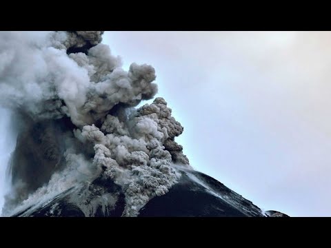 LOS ANDES SALVAJES: UNA VIDA EN LAS NUBES - Grandes Documentales