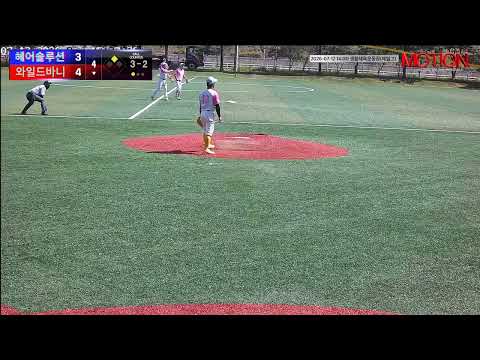 와일드바니 vs 헤어솔루션 경기 영상 | 7/12 (생활체육운동장(제일고))