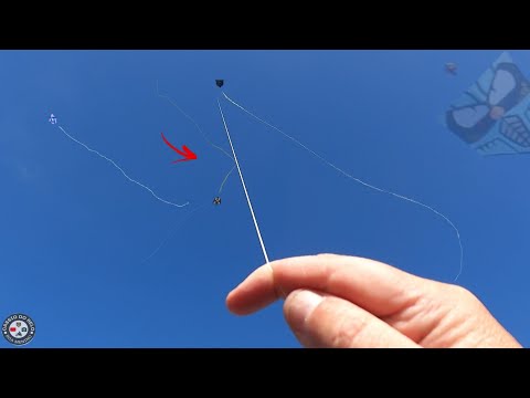 1.30m Monster Kite I Caught at the Millionaire Crossing Festival *