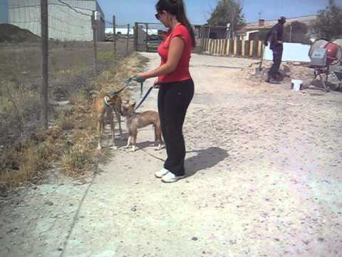 Scooby Maggio 2014_Mouse e Floribeth