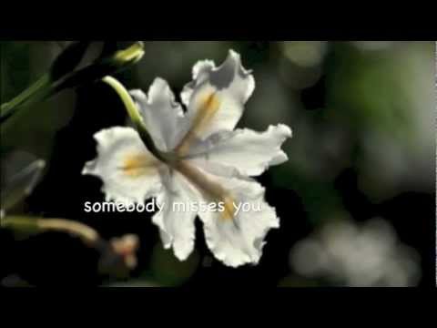 Bình yên Sheet - Trần Thu Hà