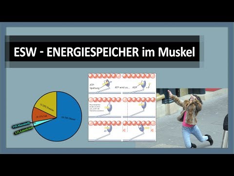Ob halvah Fruktose bei Typ 2 Diabetes Die neueste Generation von Insulin